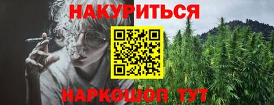 дмт Новокубанск
