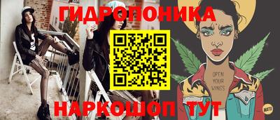 дмт Новокубанск