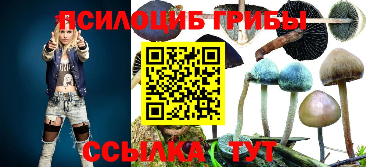 Псилоцибиновые грибы прущие грибы  сколько стоит  Вход с VPN  Узловая  Псилоцибиновые грибы мицелий 